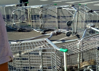 Clientes de supermercado  em  Teresina são surpreendidos com Jacaré no estacionamento